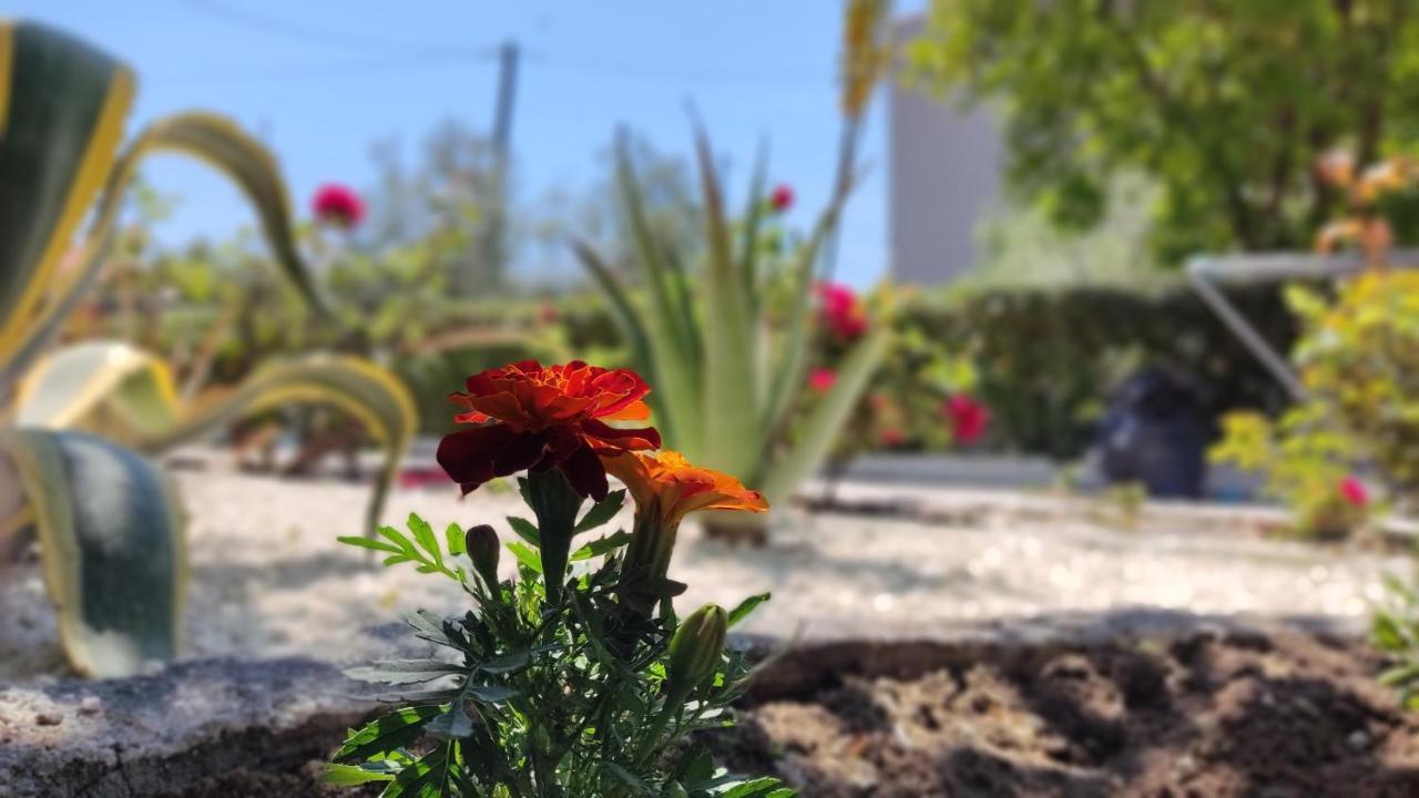 Elina House And Garden Villa Nikiti  Buitenkant foto