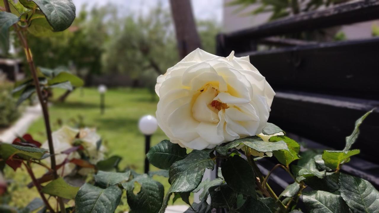 Elina House And Garden Villa Nikiti  Buitenkant foto